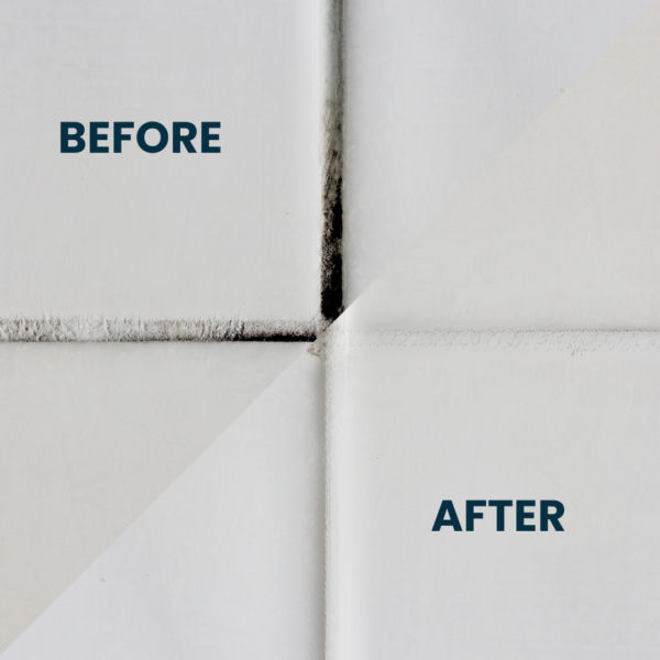 Fungosil Antimold Coating Efficiency